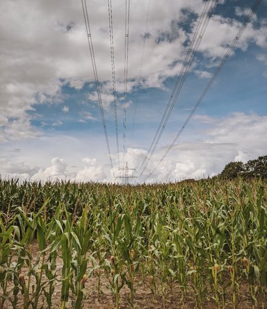 2020-08-03 06.33.02 1.jpg