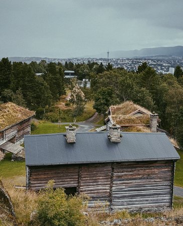 2020-07-22 07.55.49 1.jpg