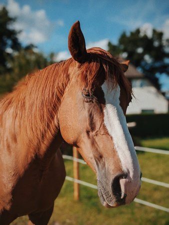 2020-08-03 08.28.56 1.jpg