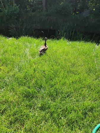 20200806_124007.jpg