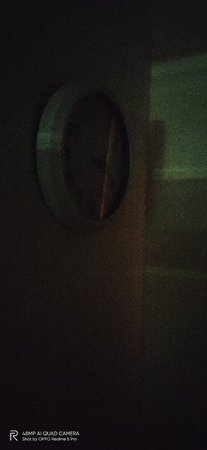 IMG20200806161448.jpg