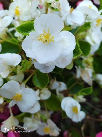 IMG_20200806_191611.jpg