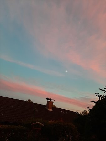 2020-07-28 21-20-38.jpg