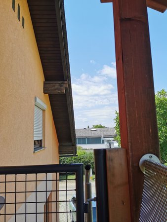 IMG_20200806_142851.jpg