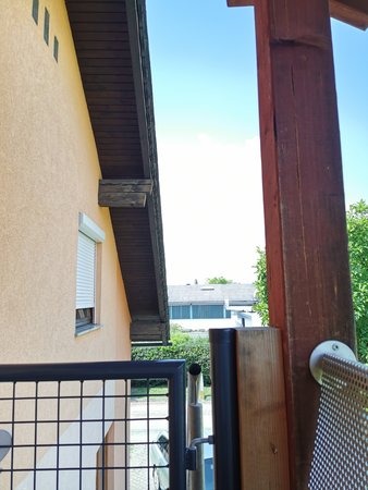 IMG_20200806_142854.jpg