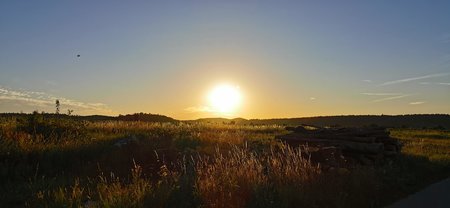 IMG_20200710_061140.jpg