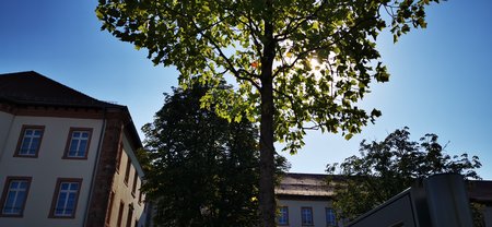 IMG_20200808_094616.jpg
