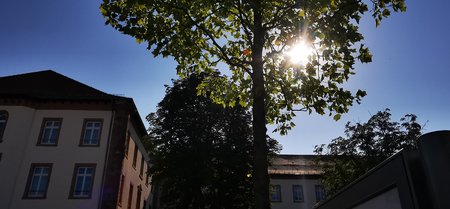 IMG_20200808_094646.jpg