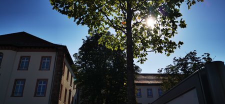 IMG_20200808_094701.jpg