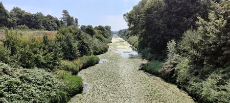 IMG_20200809_131152.jpg