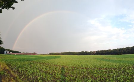 PANO_20200810_070329.jpg