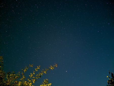IMG_20200812_230534.jpg