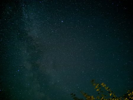 IMG_20200812_231703.jpg