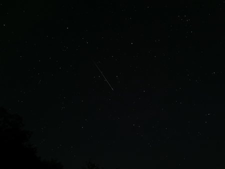 IMG_20200813_013616.jpg