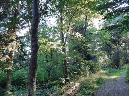 20200809_083820.jpg 20200809_083820.jpg