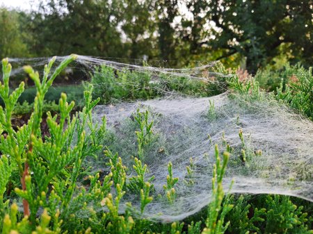 20200815_070418.jpg 20200815_070418.jpg