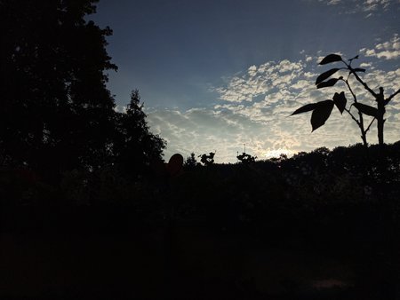 IMG_20200816_072307.jpg