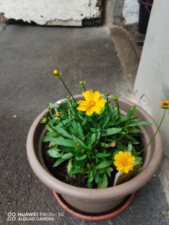 IMG_20200814_143247.jpg