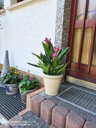 IMG_20200815_115300.jpg