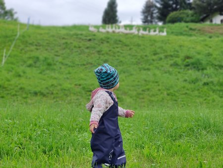 IMG_20200805_174610_Bokeh.jpg