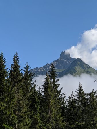 IMG_20200816_093615.jpg