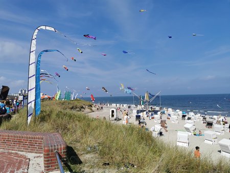 IMG_20200818_114605.jpg