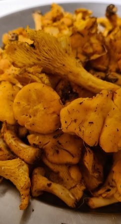 20200819_230107.jpg