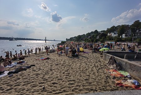 IMG_20200816_171406.jpg