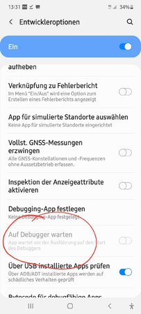 Screenshot_20200822-133156_Settings.jpg