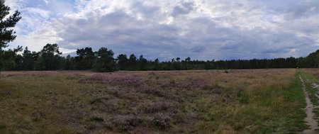 PANO_20200822_184626.vr.jpg