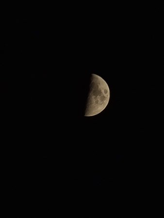 20200825_214138.jpg