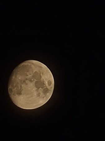 20200801_005659.jpg