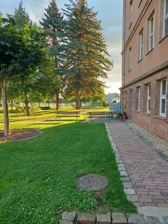 20200826_070525.jpg