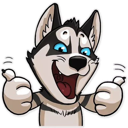 husky.jpg