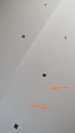IMG_20200828_182334.jpg