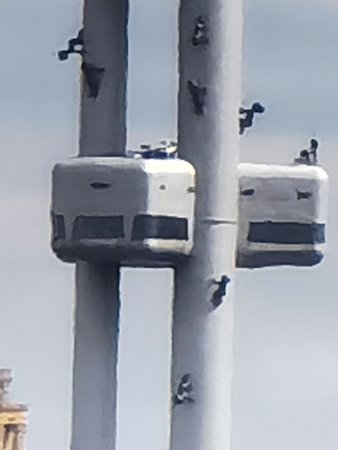 IMG_20200825_135958.jpg