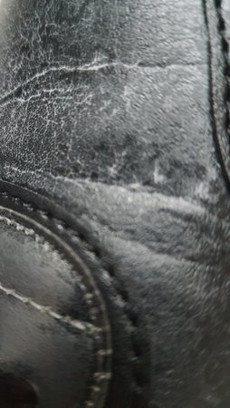 2020082116551600.jpg