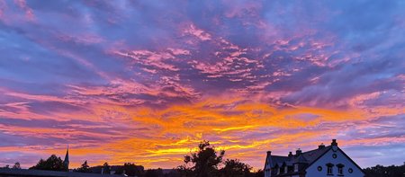 IMG_20200829_200000.jpg
