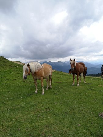 IMG_20200824_131352.jpg