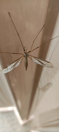IMG_20200829_003102.jpg