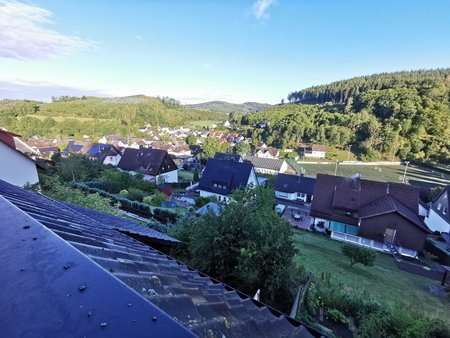 P30_Pro_IMG_20200829_081059.jpg