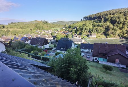 P40_Pro_IMG_20200829_081131.jpg