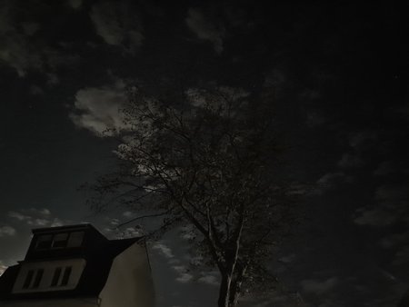20200831_223335.jpg