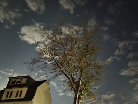 20200831_223341.jpg