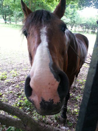 2012-06-06 17.28.34.jpg
