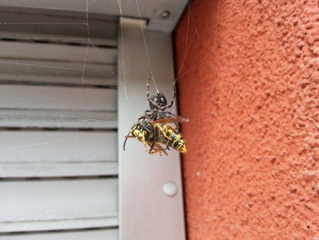 20120617_103711.jpg
