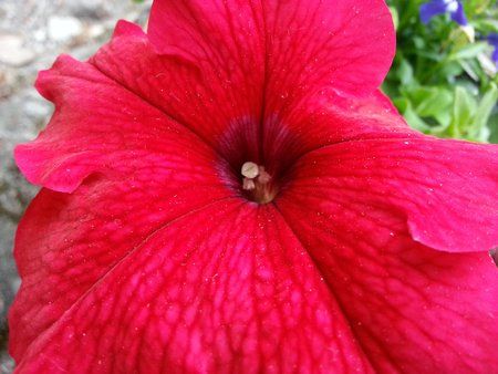 20120617_163251.jpg