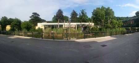 Pano 1.jpg