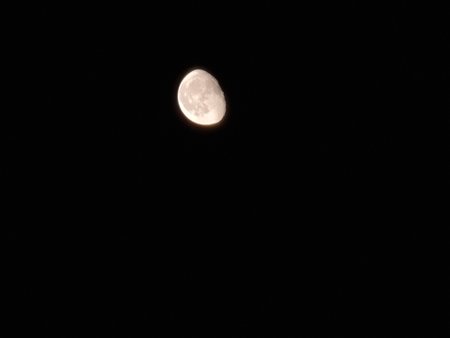 20200906_232059.jpg