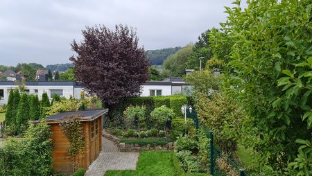 20200908_180046.jpg